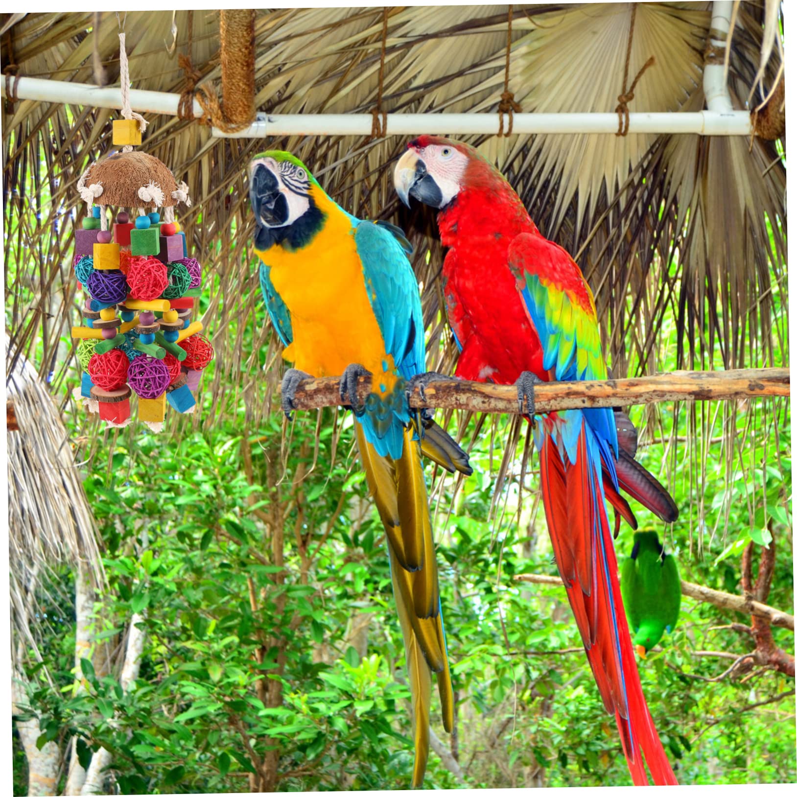 BESPORTBLE 1pezzi Giocattolo Per Pappagalli e Cocco Accessorio Da Masticare Appeso Per Uccelli Giocattolo Divertente Per Parakeet e Cockatiel Migliora Benessere Degli Animali Domestici