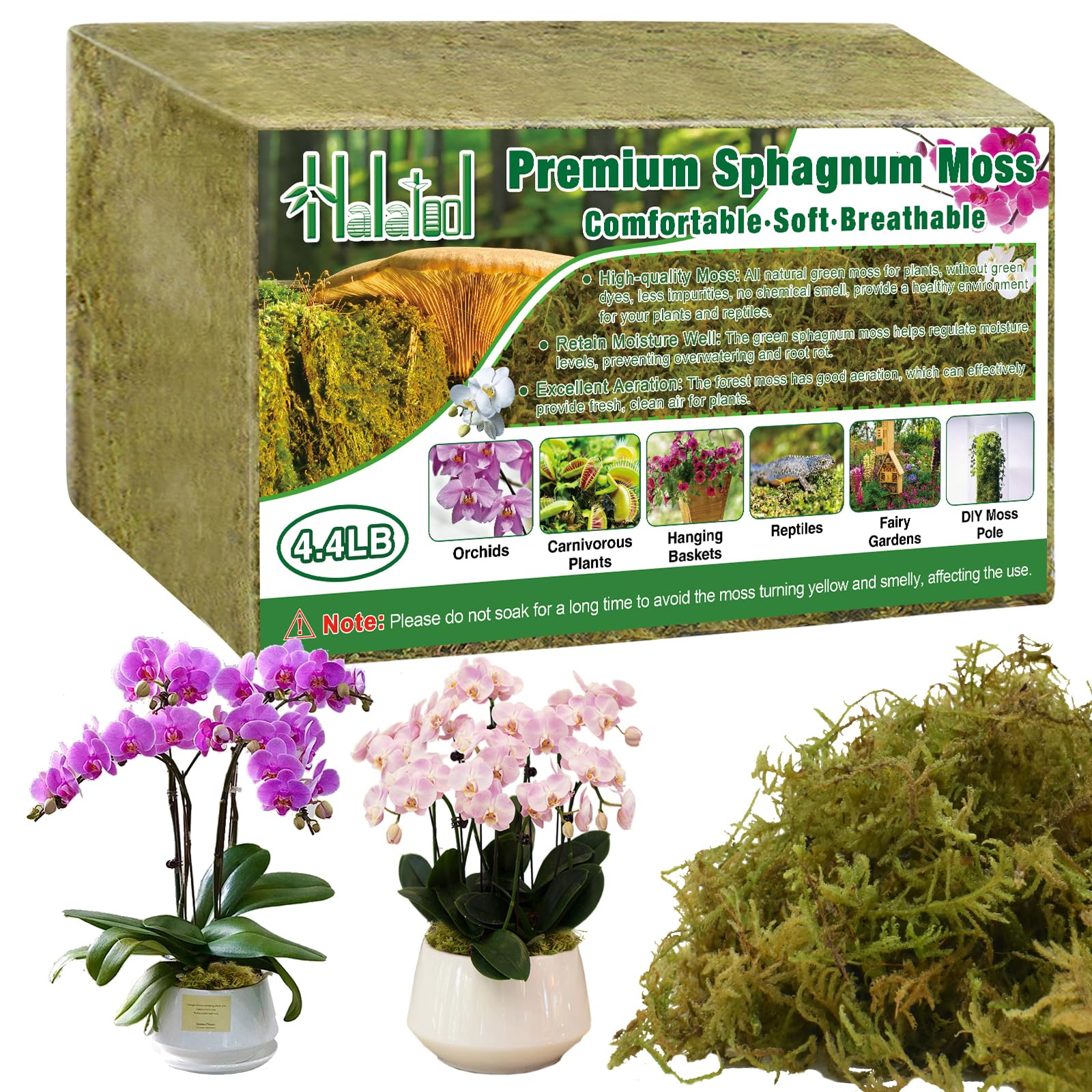Halatool 4.4LB Green Forest Moss