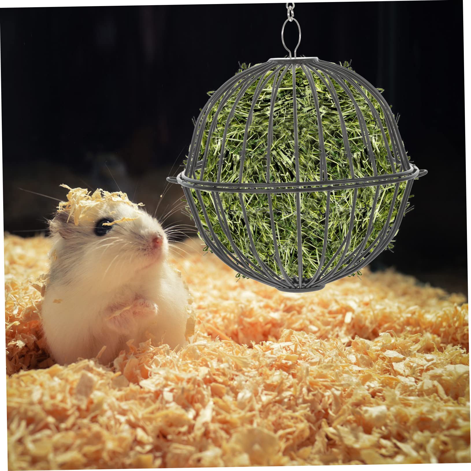 Little Giant Plastic Blue 3 Feed Scoop