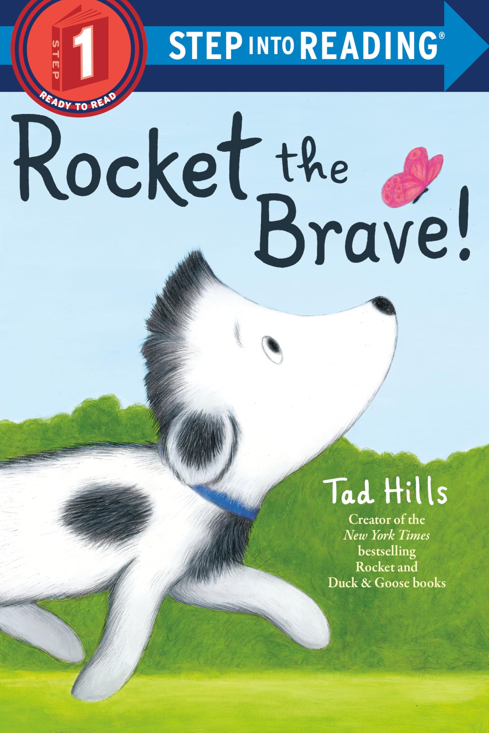 Rocket the Brave! (Step into Reading) Paperback – Illustrated, July 31, 2018