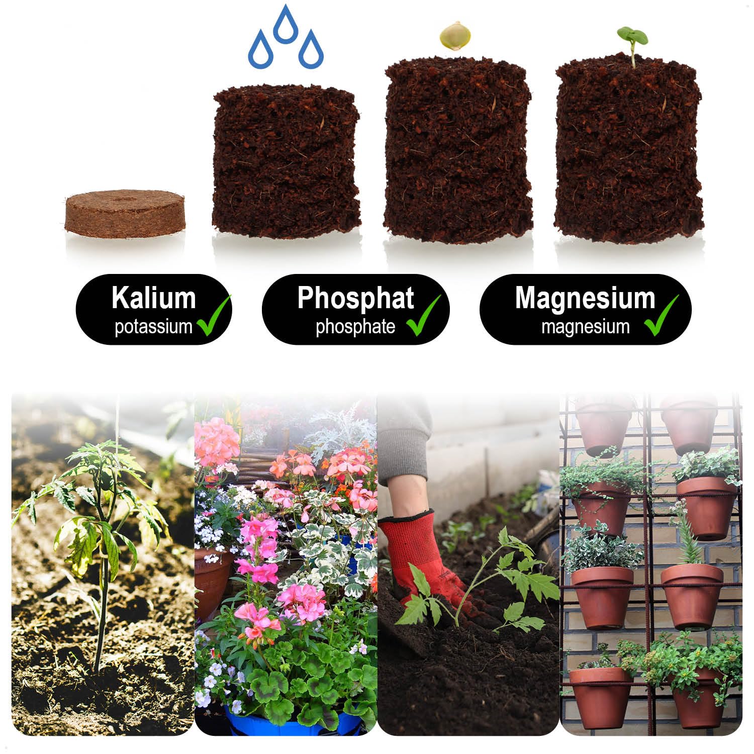 com-four® 20-teiliges Kokosanzucht-Set - biologisch abbaubare Kokosscheiben im Topf - Anzuchthilfe aus 10 Quelltabs und 10 Töpfen - Pflanzschalen aus Kokosfaser - Anzuchtunterstützung für Samen