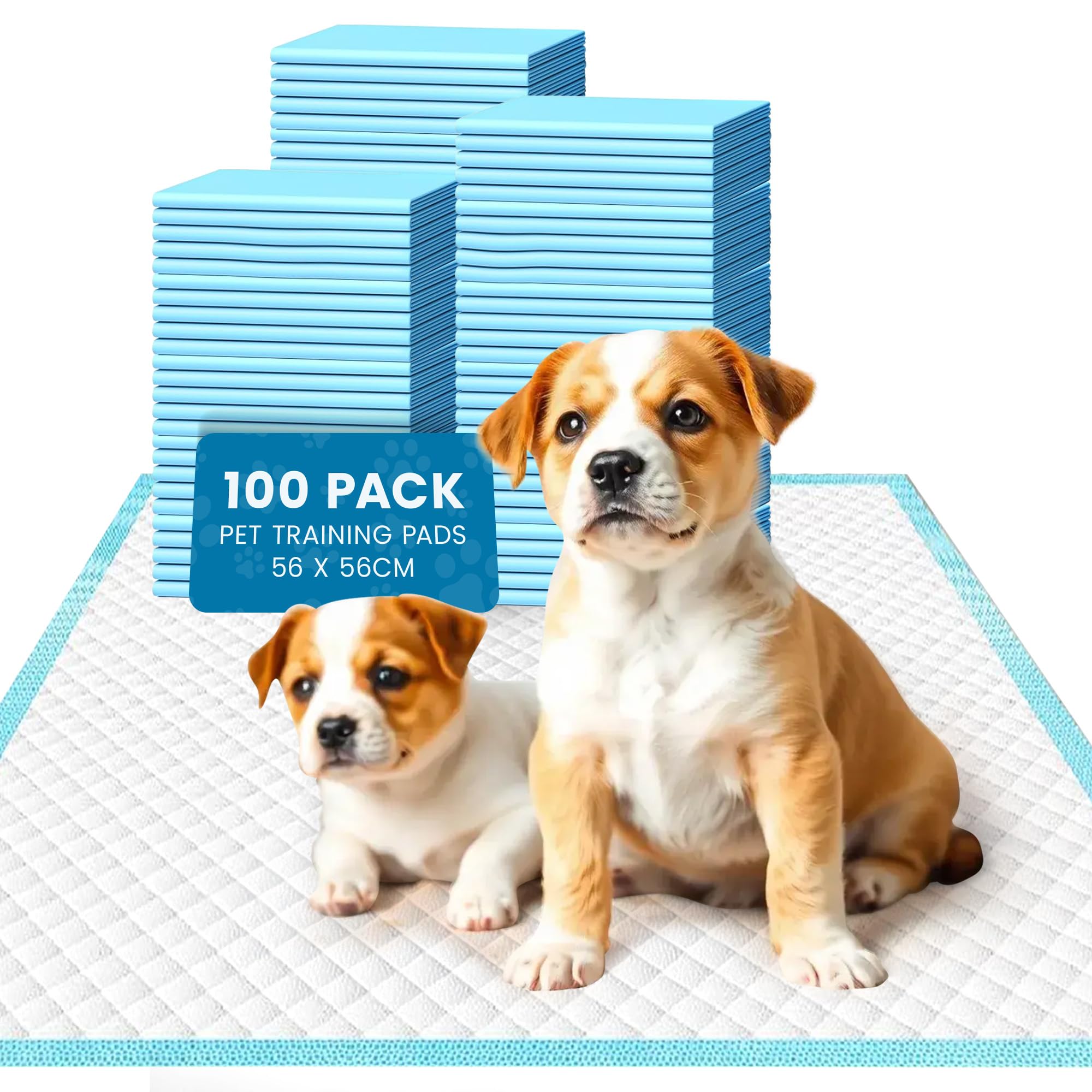 Cool Paws Puppy Training Pads Puppy Pads - Ultra-Thick, Leakproof, And Odour-Locking Training Pads For Dogs & Puppy, Fast-Drying, Tear-Resistant, Eco-Friendly, Disposable, Medium 100 Pack