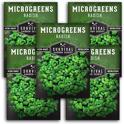 Miniatura 1 de Survival Garden Seeds Microverduras de rábano para brotar y cultivar  5 paquetes  Brotan microvegetales de hoja verde en interiores  Cultiva un mini