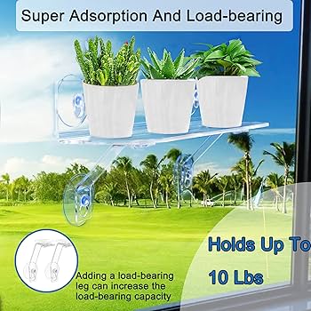 Abaodam 2pcs Transparent Acrylic Cup Shelves For Window Plants Load-bearing Bracket Racks For Kitchen Bathroom And Living Room Floating Potting Stand For Indoor Herbs And