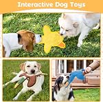 Duck Squeaky Dog Toys 3-Pack with Crinkle Paper, No Stuffing Dog Toy for Large Dogs, Safe Pet Toy for Small to Large Breed, Ideal for Puppy Gifts & Tug of War Toys