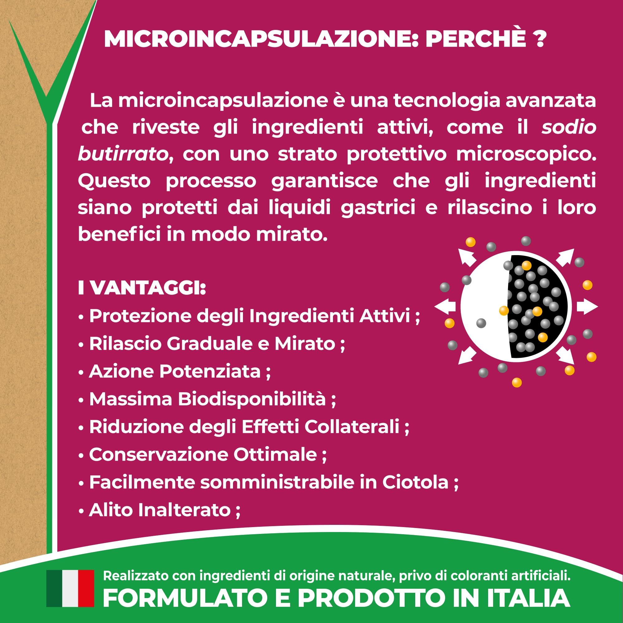 EVVIVA Entero Appetite | Probiotici per Cani a base di Sodio Butirrato per l’Equilibrio della Flora Batterica e il Benessere Intestinale, Integratore per cani efficace soluzione per la Diarrea Cane