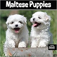 Vista 71 de MICASA PRESS Corgi Butts - Calendario de pared 2026 de 12 meses 12 x 24 pulgadas abierto Papel grueso y resistente Regalo de vacaciones