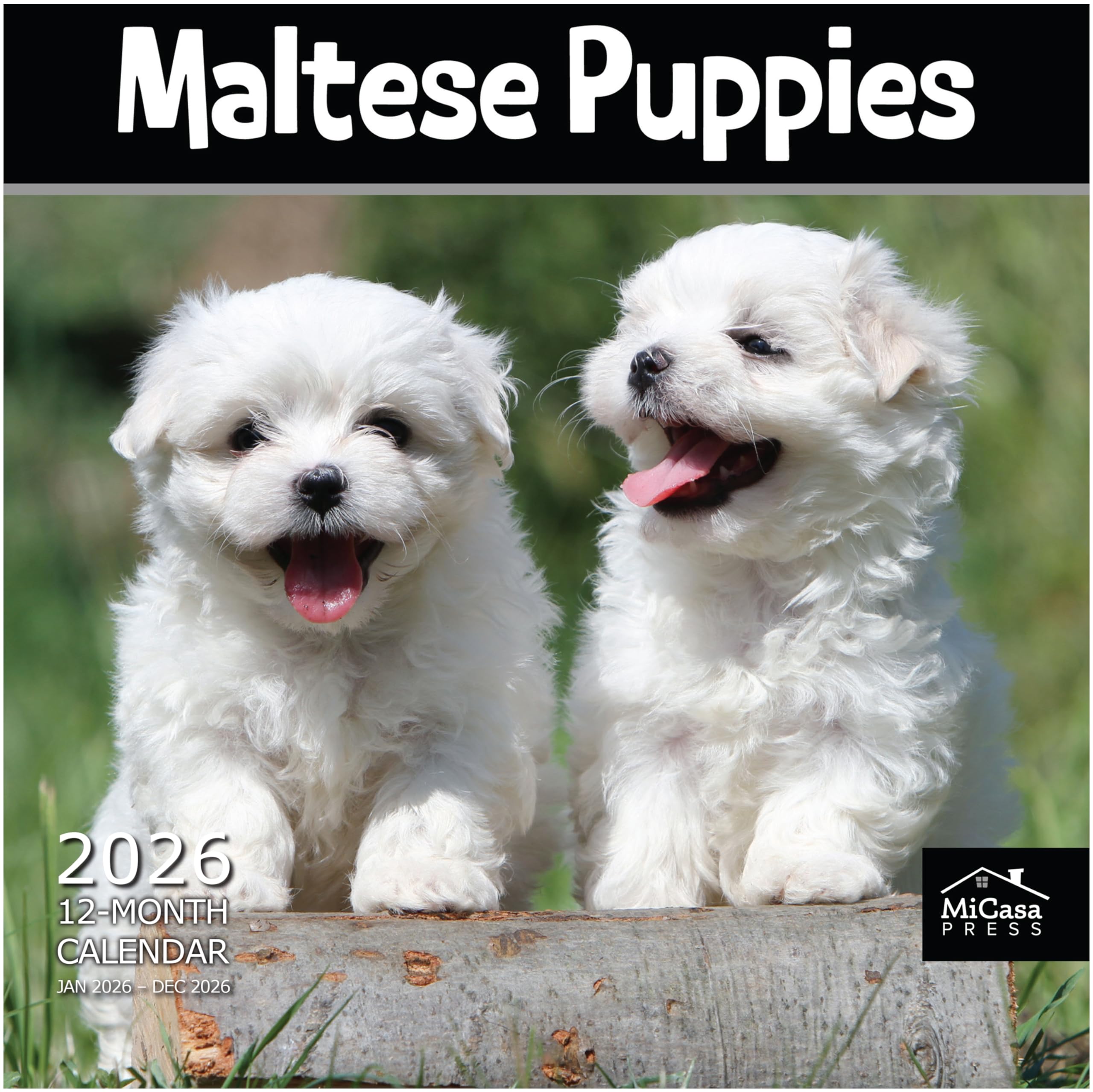 MICASA PRESS Maltese Puppies 2026 Wall Calendar 12 Month | 12" x 24" Open | Thick &amp; Sturdy Paper | Giftable | Cute Puppy Dog Calendar 2026