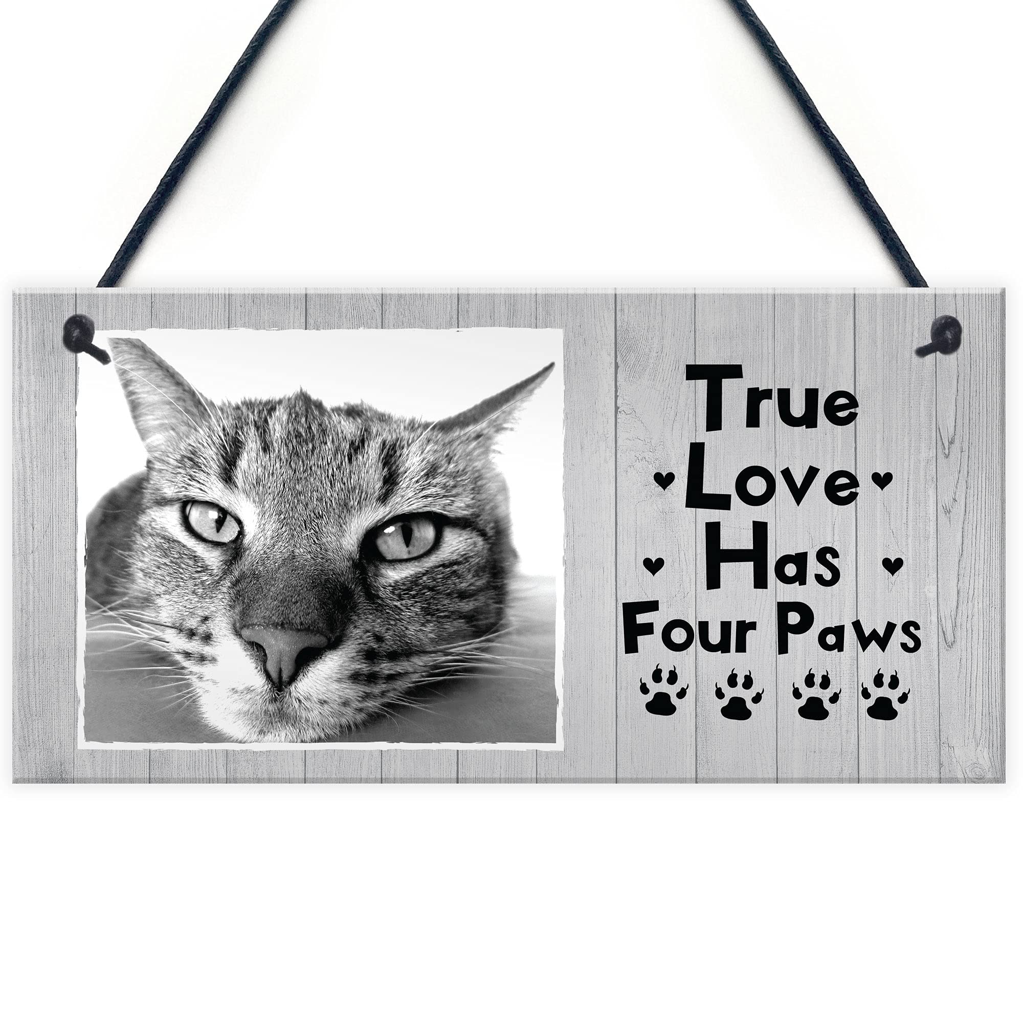 Personalised Shabby Chic Cat Sign Image Cat Lover Gift Pet Sign Family Gift