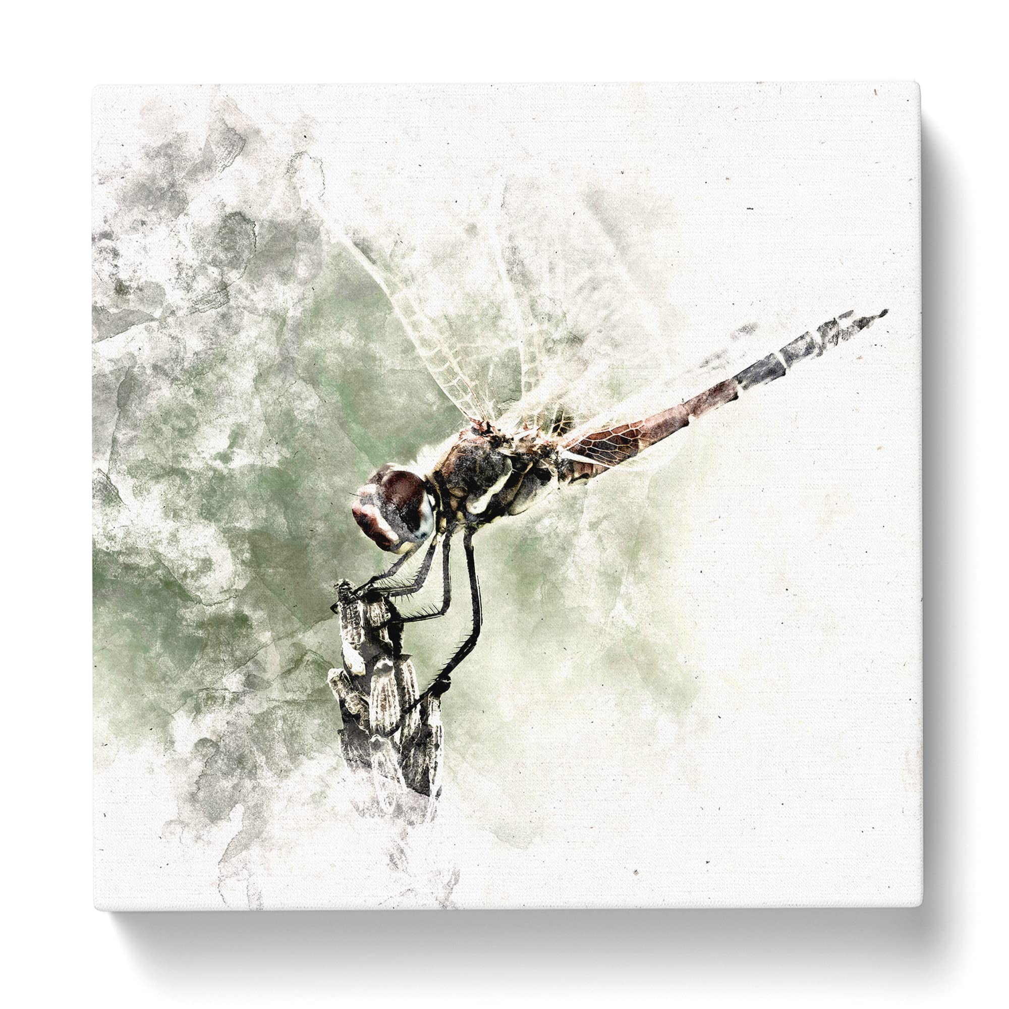 Perched Dragonfly Watercolour Canvas Print, Mixed, 35L x 35W cm - Image 3