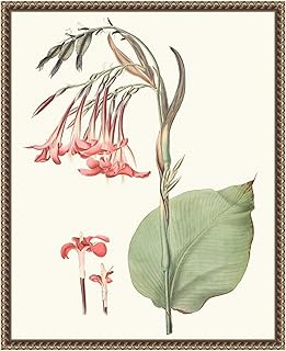 Amanti Art Framed Canvas Wall Art 20x16 Soft Tropical III by George Smith, Framed Wall Art Canvas, Flowers Artwork, Traditional Decor, Small Poster Painting for Living Room, Bedroom, Bathroom,