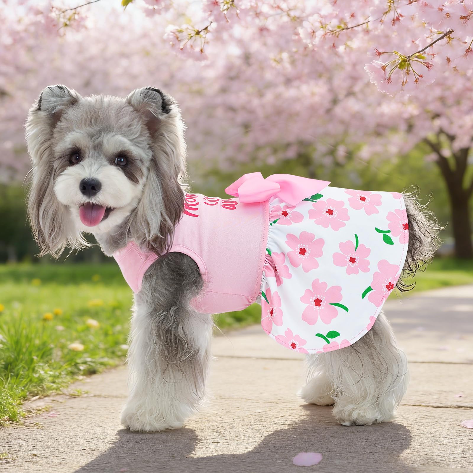 holiday dog dresses XPUDAC 4 Pack Mother's Day Dress with Bowknot Cute Dog Clothes Puppy Skirt Bunny Egg Mommy Floral Pet Outfit for Girls, M : Pet Supplies style-number:J258101