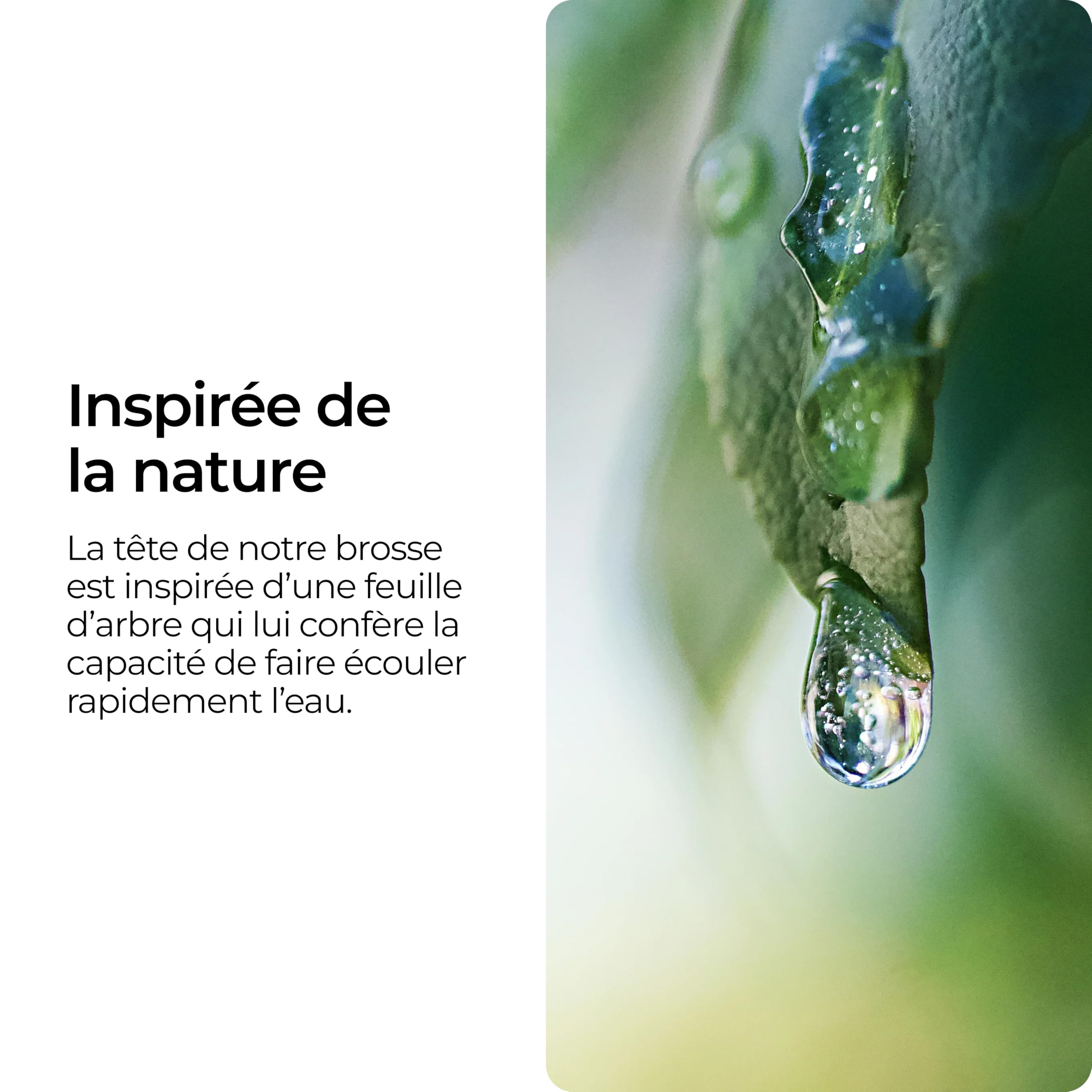 Biom Paris – Brosse WC Innovante Hygiénique sans Poils avec Support – Brosse Toilette Anti-Goutte, Antibactérienne - Balai WC Design, Reste Propre – 100% Fabriqué en France
