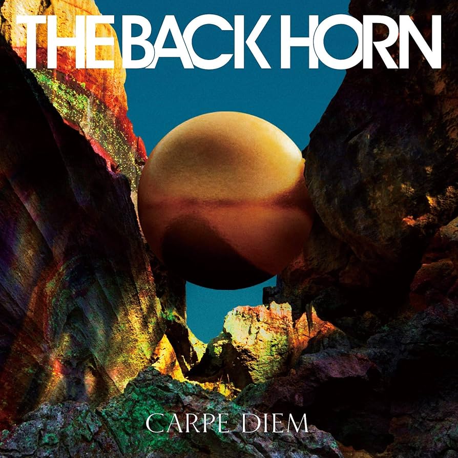 バックホーン THE BACK HORN CD17枚セット 初回限定盤 DVD付 バックホーン THE BACK HORN CD17枚セット 初回限定盤 DVD付