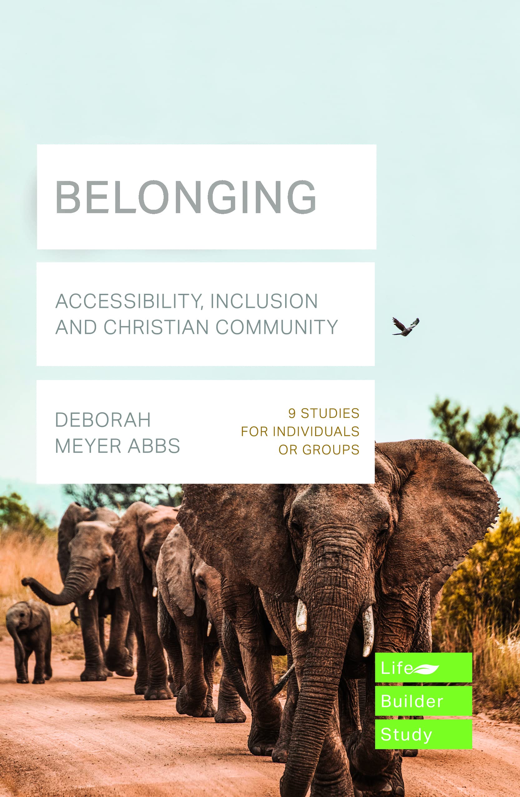 Belonging (Lifebuilder Bible Study): Accessibility, Inclusion and Christian Community (Lifebuilder Bible Study Guides, 265)