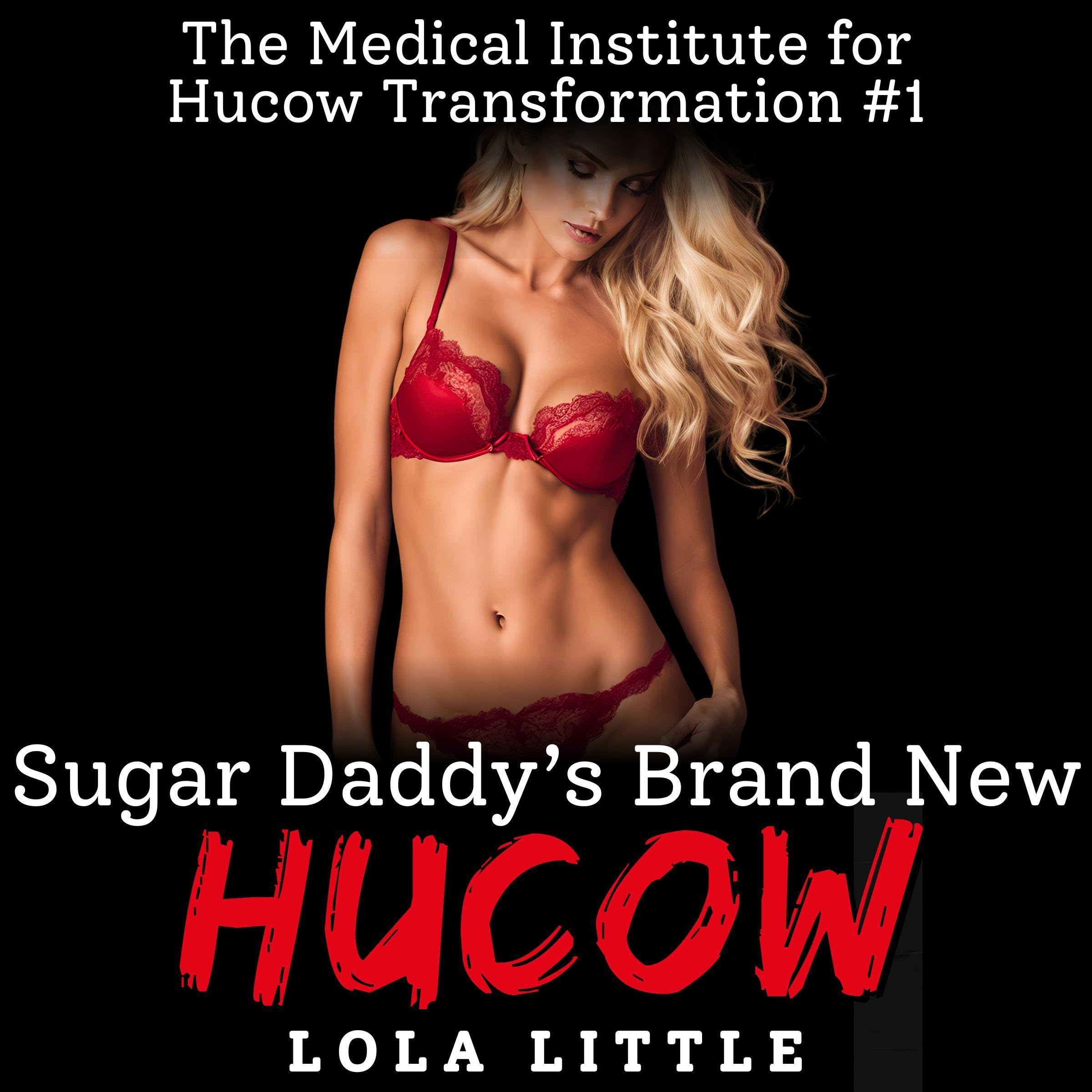 Cover art for Sugar Daddy's Brand New Hucow