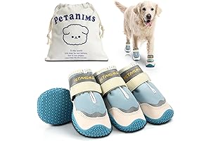 Tiny Toes, Giant Protection: Dog Shoes for Small Dogs