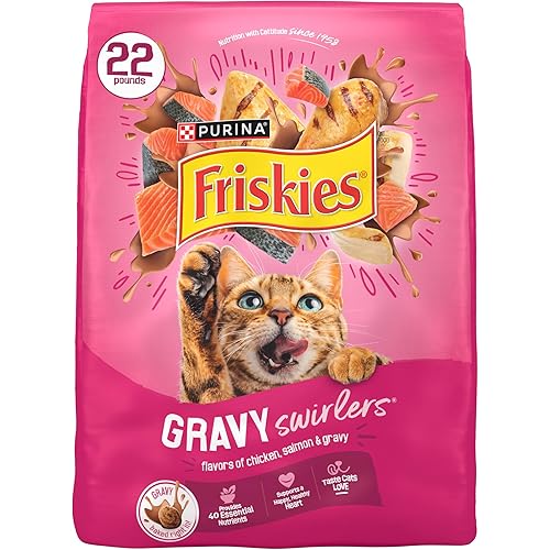 Purina Friskies Gravy Swirlers with Flavors of Chicken, Salmon and Gravy Dry Cat Food - 22 lb. Bag