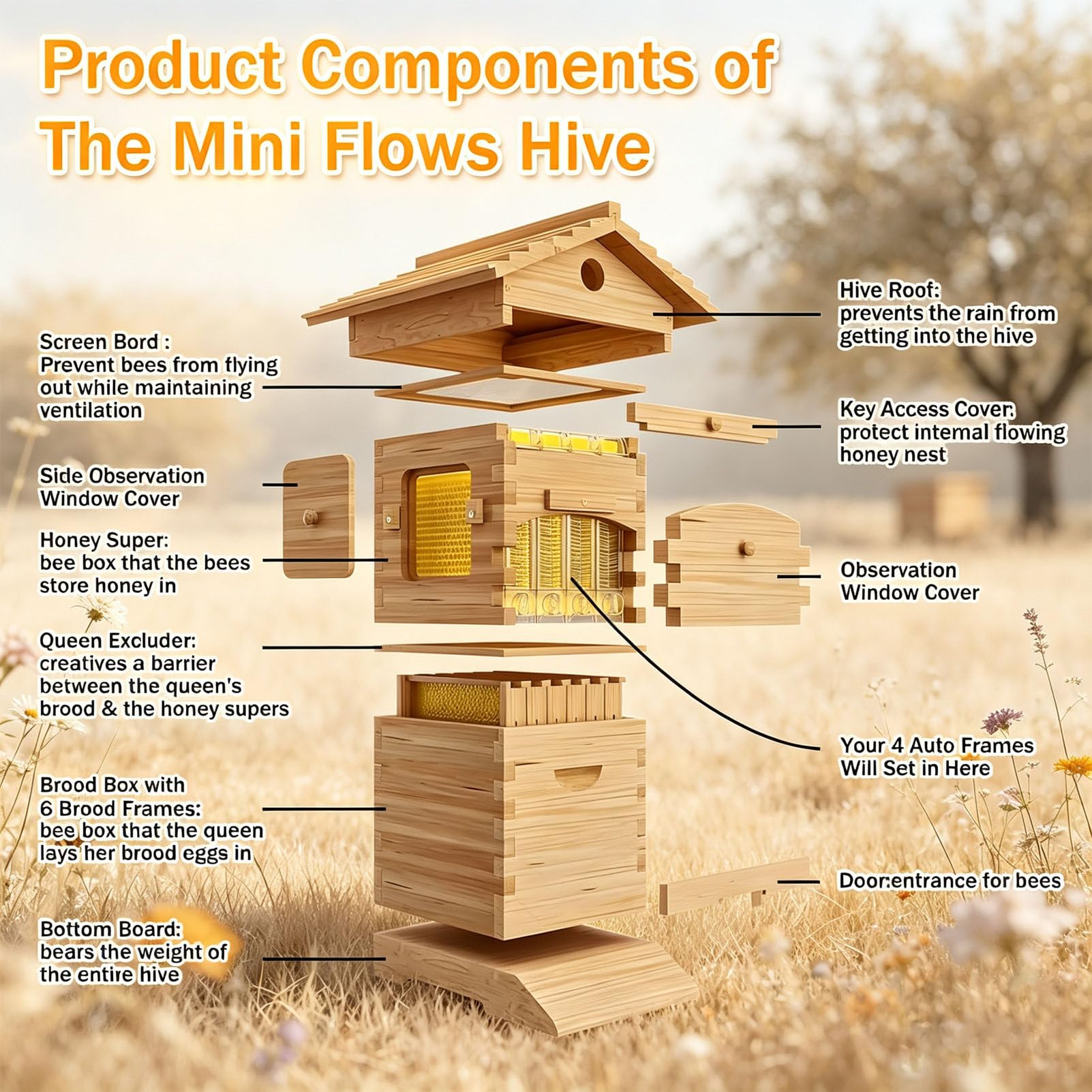 Kit di avviamento per arnia, arnia in Legno con telaini scorrevoli Automatici, arnia Completa per Apicoltura, per Apicoltura, impollinatori da Giardino