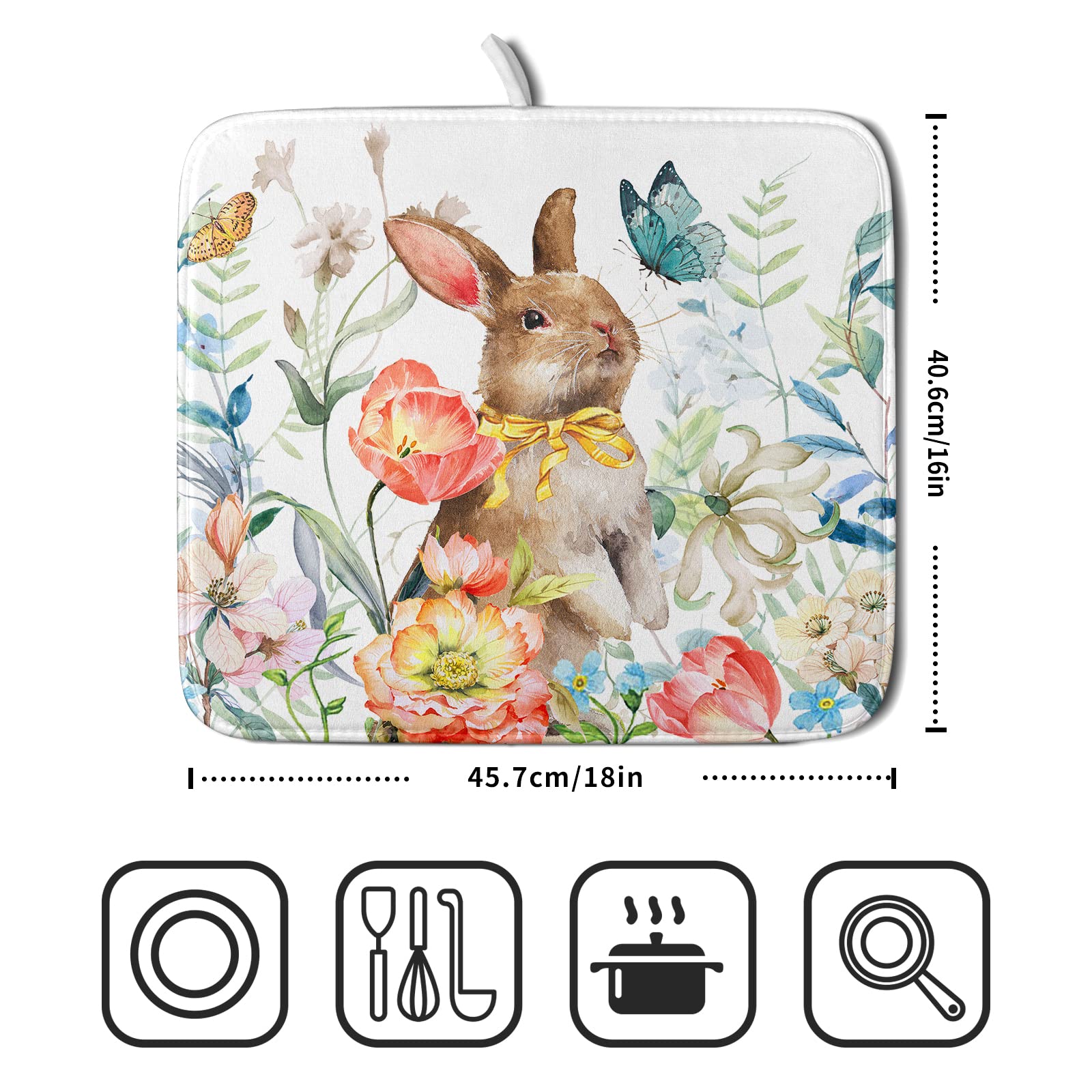https://m.media-amazon.com/images/I/81Y55LO63sL.jpg