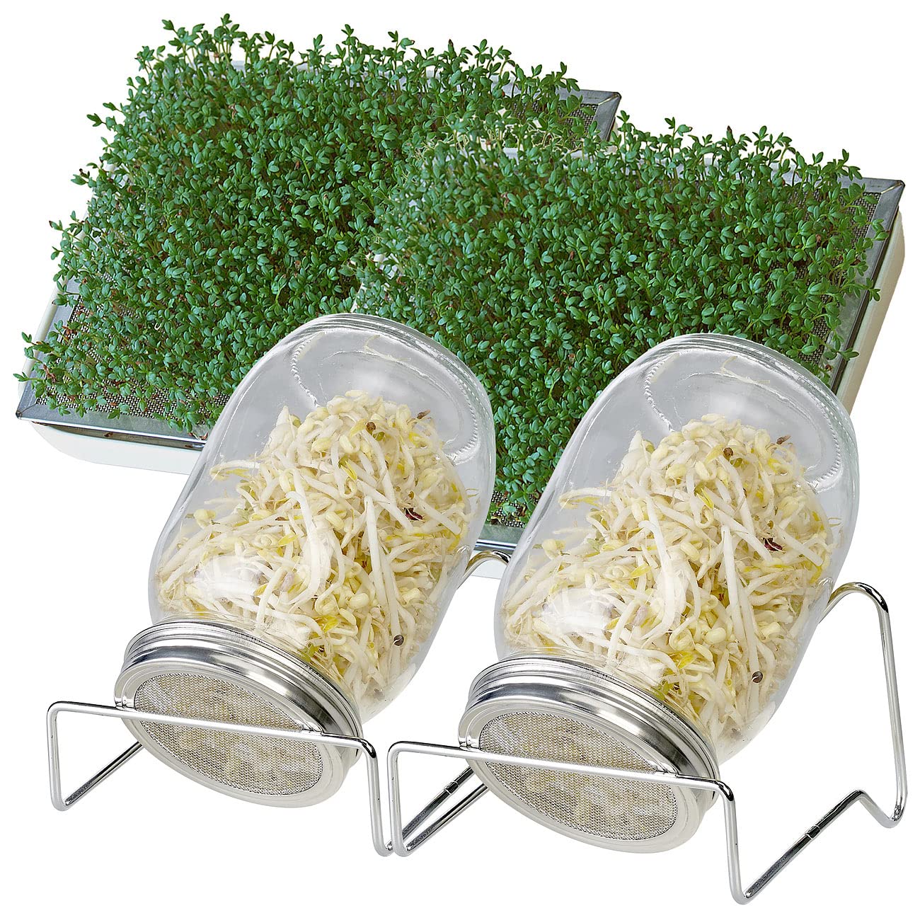 2 bocaux de germination 1 L avec support et bac de récupération [Royal Gardineer]