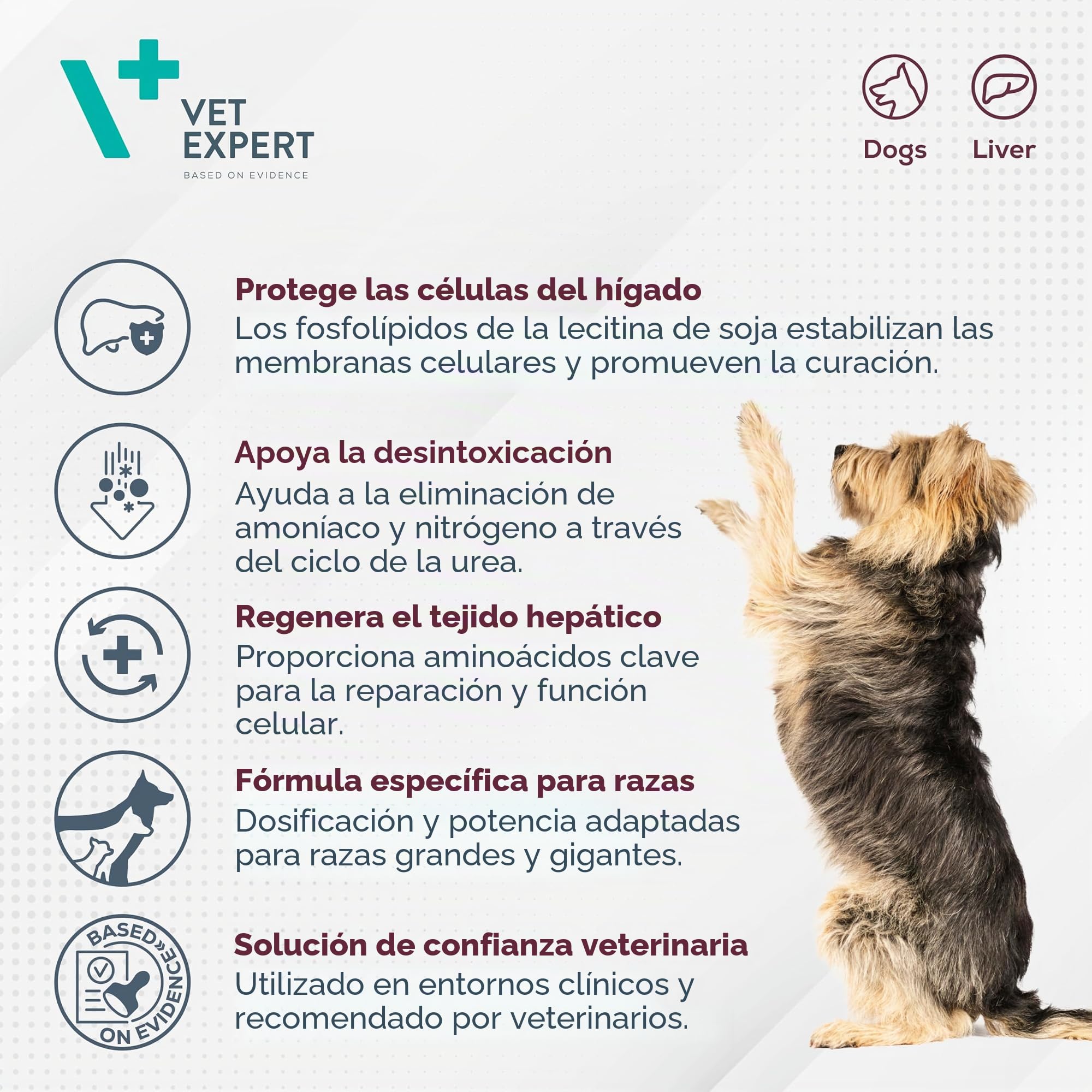 Alimento complementario para razas grandes de perros | 40 pastillas | Apoyo a la función hepática | Más de 25 kg de peso corporal | Vet Expert Hepatiale Forte