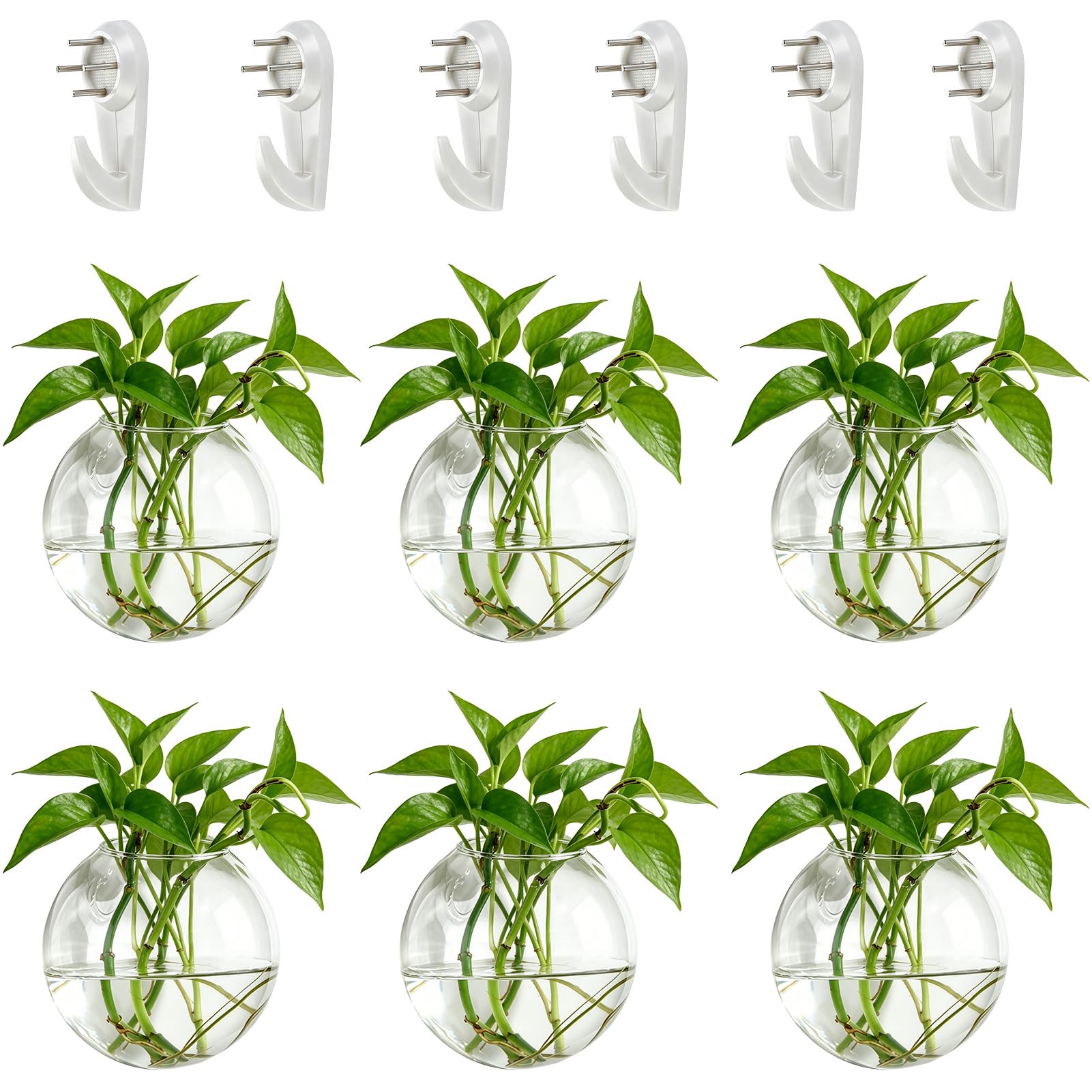 NUPTIO Wandvase für Pflanzen Innen Glas: Blumen Wandbehang Glasvase für Wohnzimmer Wand Deko - Wasser Hängetöpfe Vasen Luft Blumenvase Terrarien für Raum Dekoration 6er-Set
