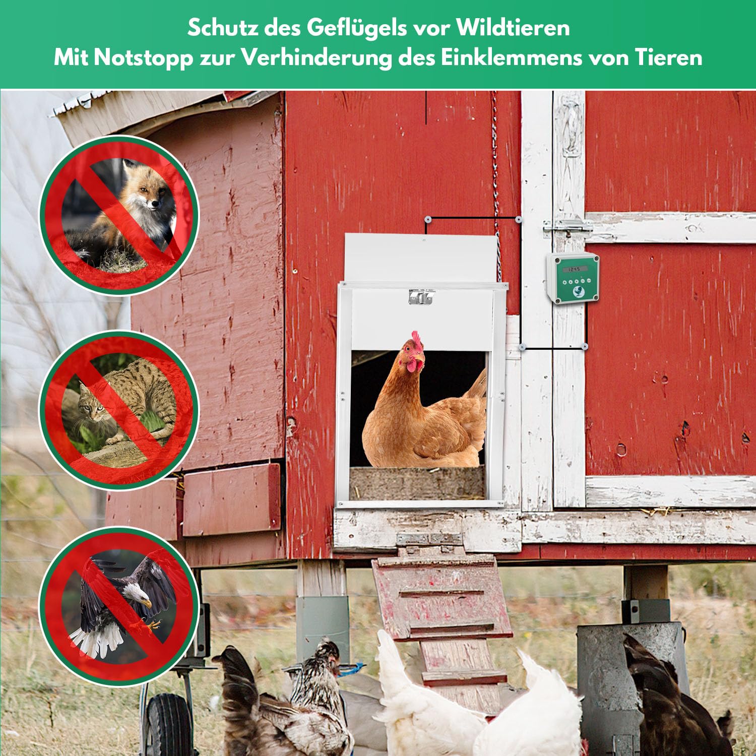 Sonnewelt Puerta de gallina automática con corredera de 30 x 30 cm, puerta de gallina de aluminio con sensor de luz y control de tiempo manual puerta de gallinero