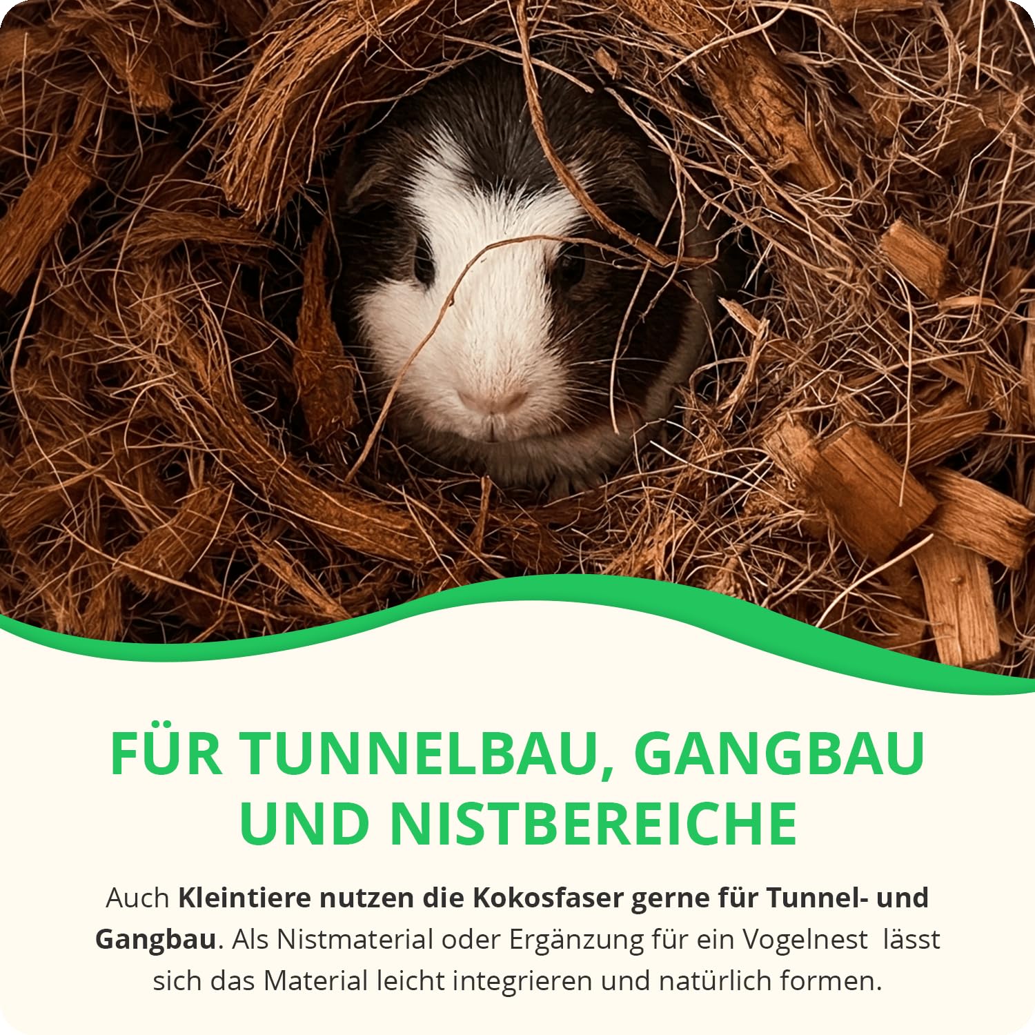 10x500g Kokosfasern als Nistmaterial für Vögel & Kleintiere | 100% natürliche Kokosfaser zum Nestbauen, für Tunnel- und Gangbau – staubarm, weich und vielseitig einsetzbar