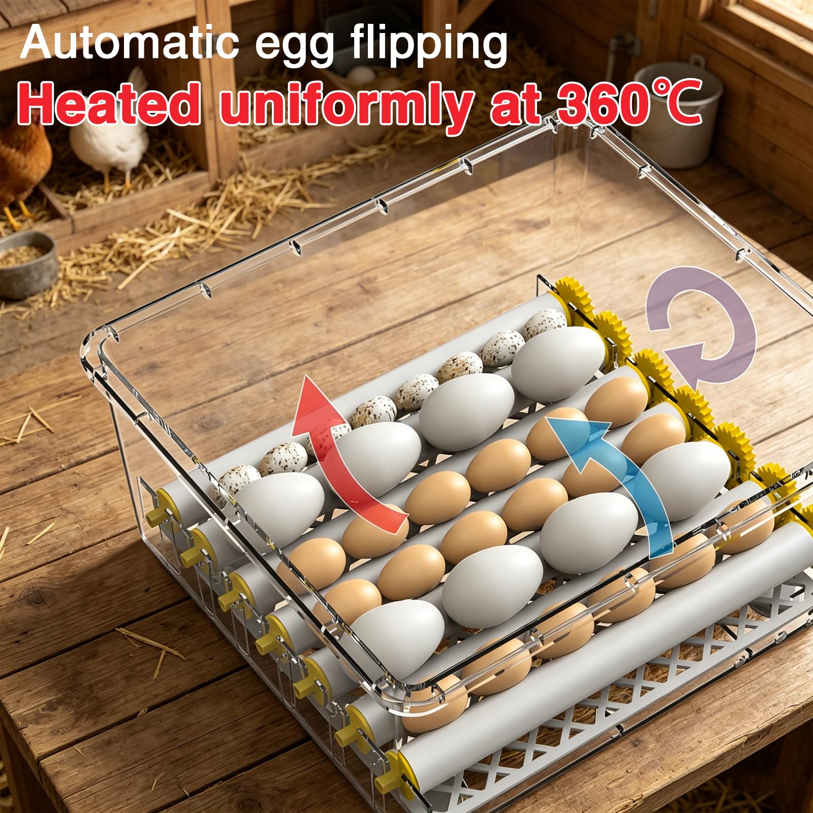 Incubatrice per uova di gallina, 36 uova, incubatrice automatica, controllo intelligente di temperatura e umidità, rotazione automatica, rulli regolabili, luce tester integrata
