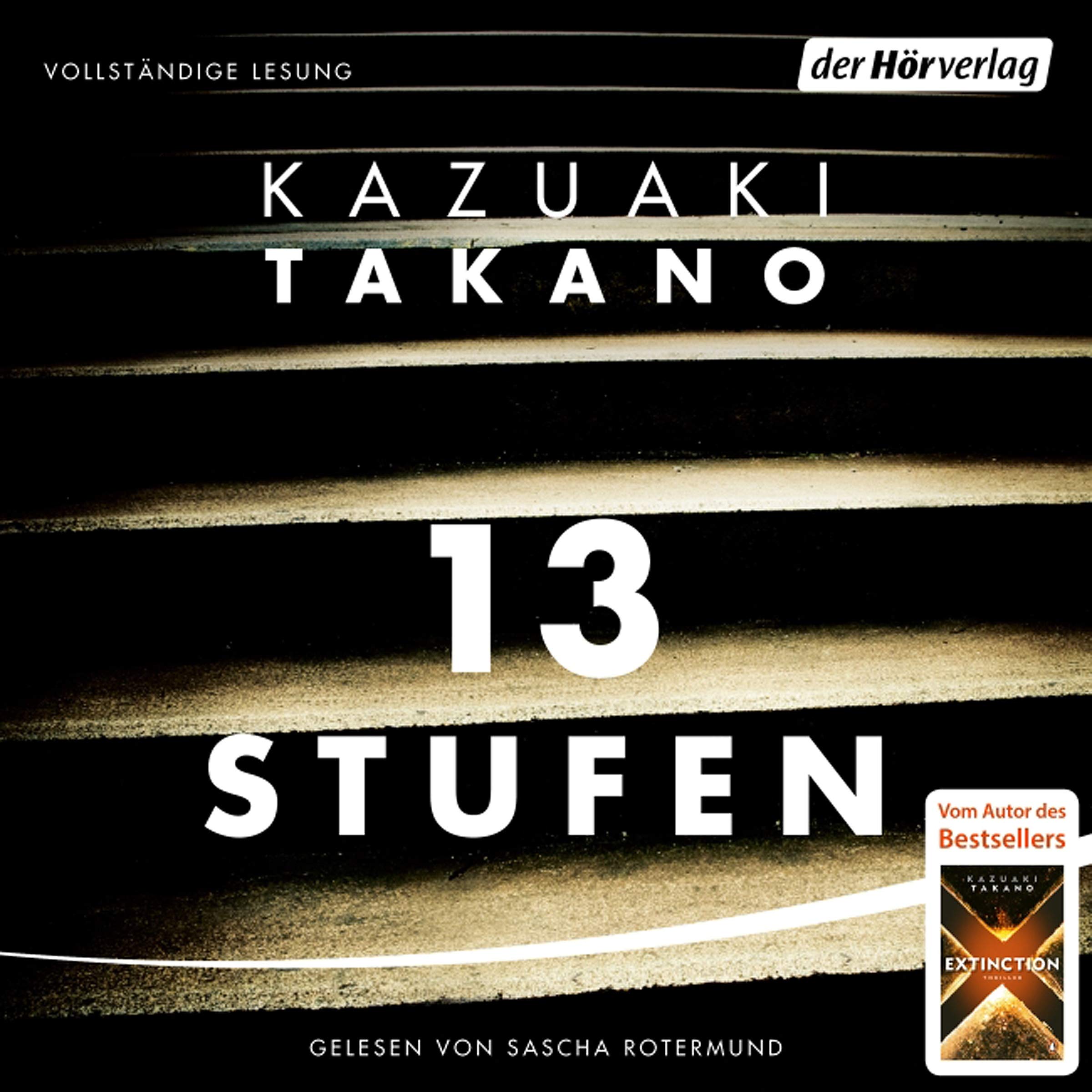 Cover art for 13 Stufen