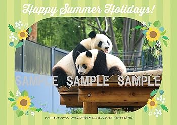 Amazon.co.jp: シャンシャンの夏休み 夏の思い出ポストカードブック