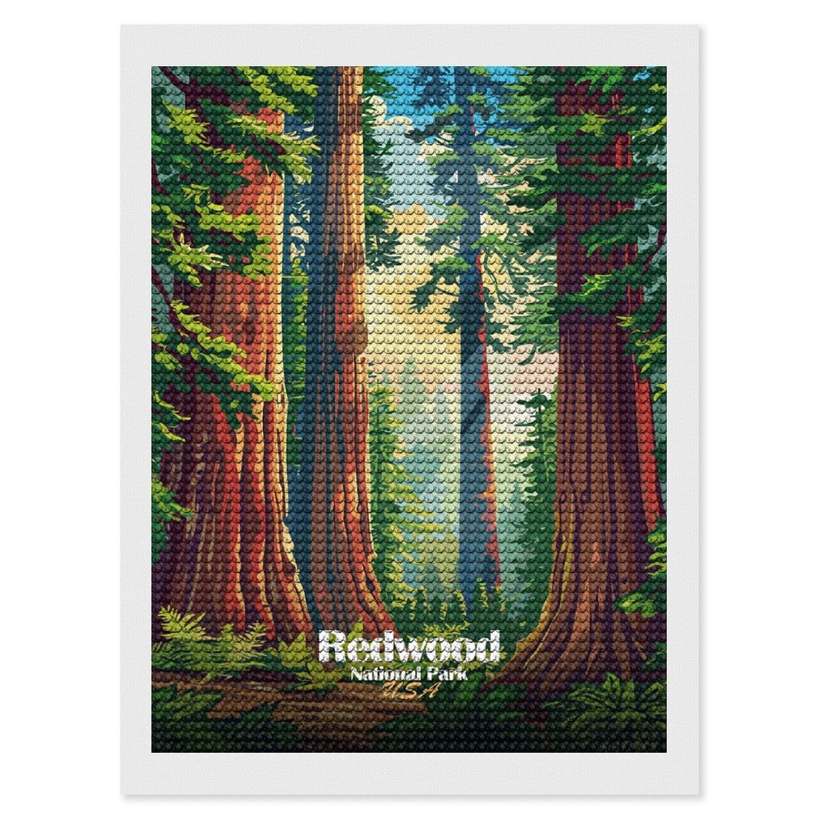 Junmoney Redwood National Park Illustration(2) DIY Diamond Art Canvas Kit 12"x16", Farmhouse Decor, Vintage Style Decor, Handmade Wall Decor, Canvas Picture