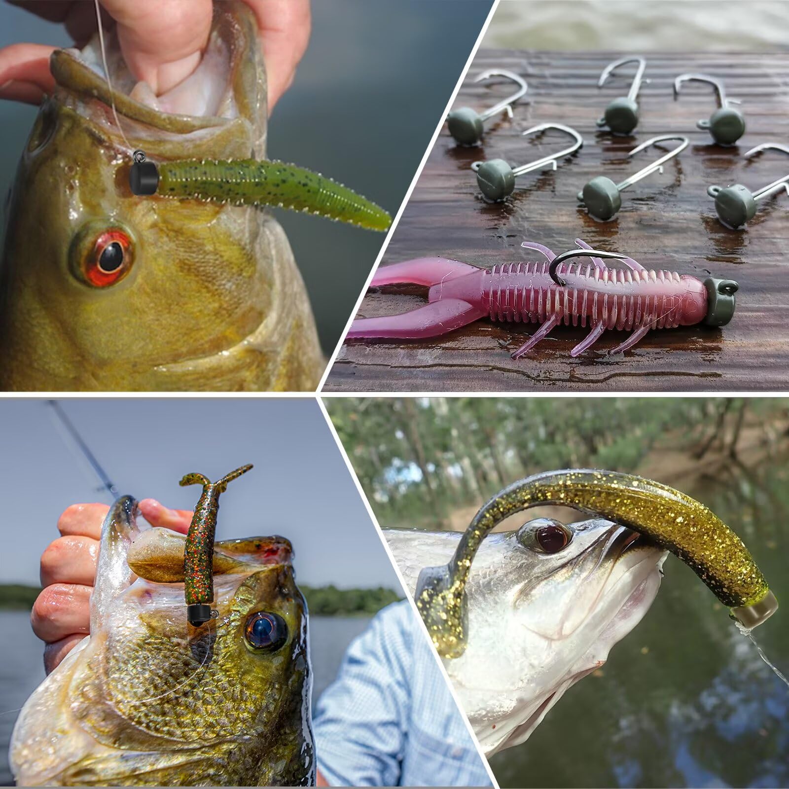 Fishfun 8Pcs Tungsten Ned Rig Jig Heads with Hooks in Different Sizes, Finesse Mushroom Jig Heads for Bass Fishing with Soft Lures, 1/6oz, Green : Sports & Outdoors