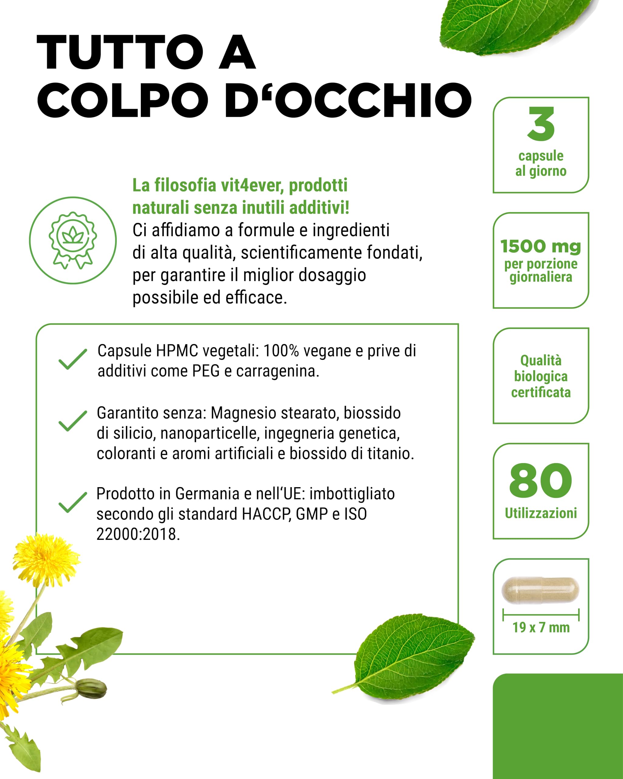 Tarassaco biologico - 240 capsule - 1500 mg di estratto di radice di tarassaco - Rapporto 10:1 altamente dosato - Vero estratto di Taraxacum officinale - Senza additivi - Vegan
