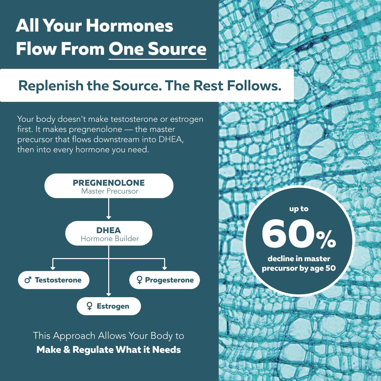 HormonIQ - Hormone Balance for Women & Men Over 40, 60 Capsules — Amazon image 3