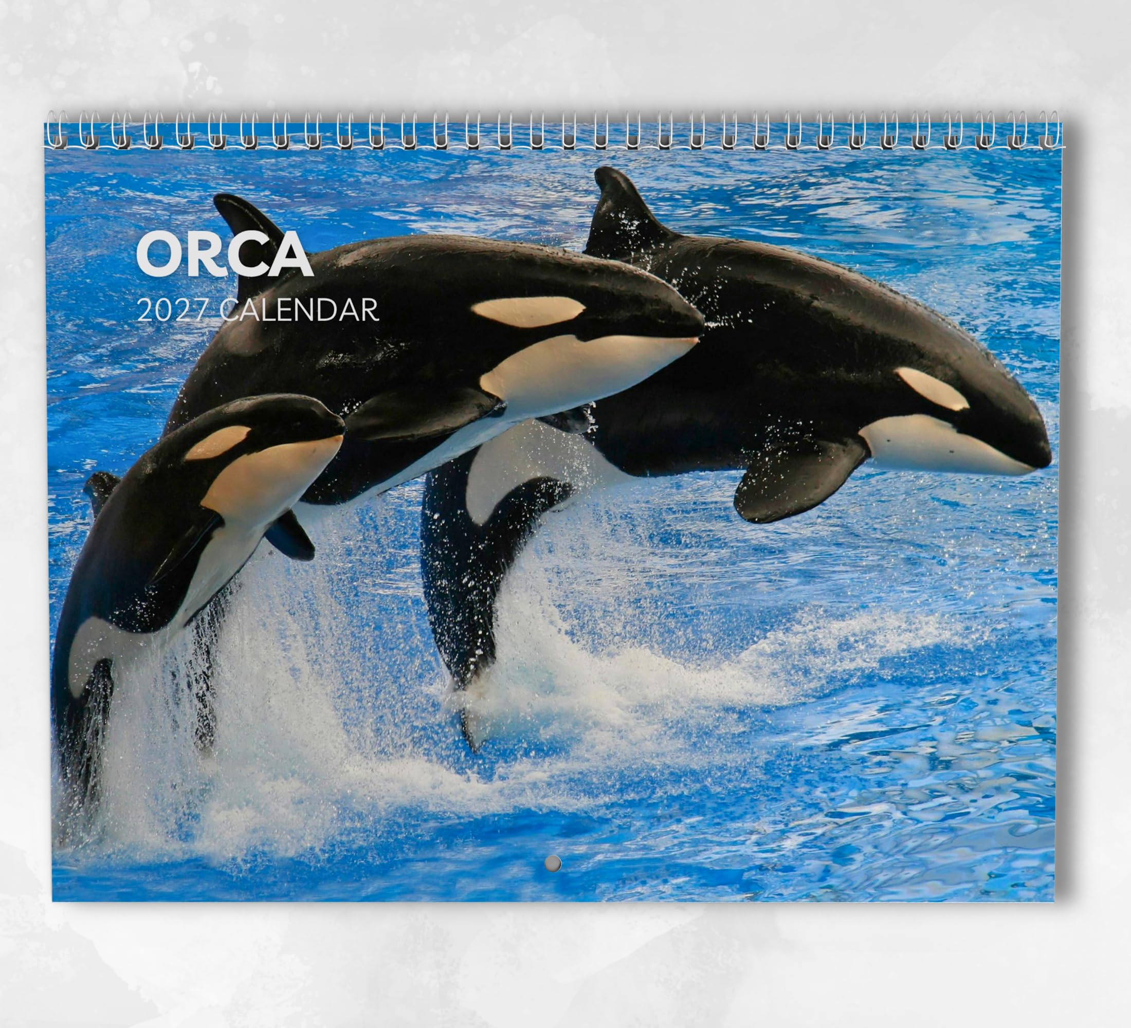 Orca Calendar 2027: Monthly Wall Calendar with Notes, Hanging A3 Size, Includes key dates & holidays