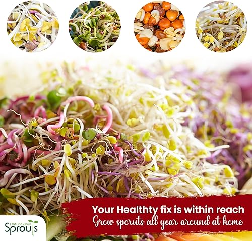Miniatura 4 de Nature Jims - Semillas de brote de rábano  Semillas de brote orgánicas de 16 onzas  Semillas de rábano prémium sin OMG  Bolsa resellable para una