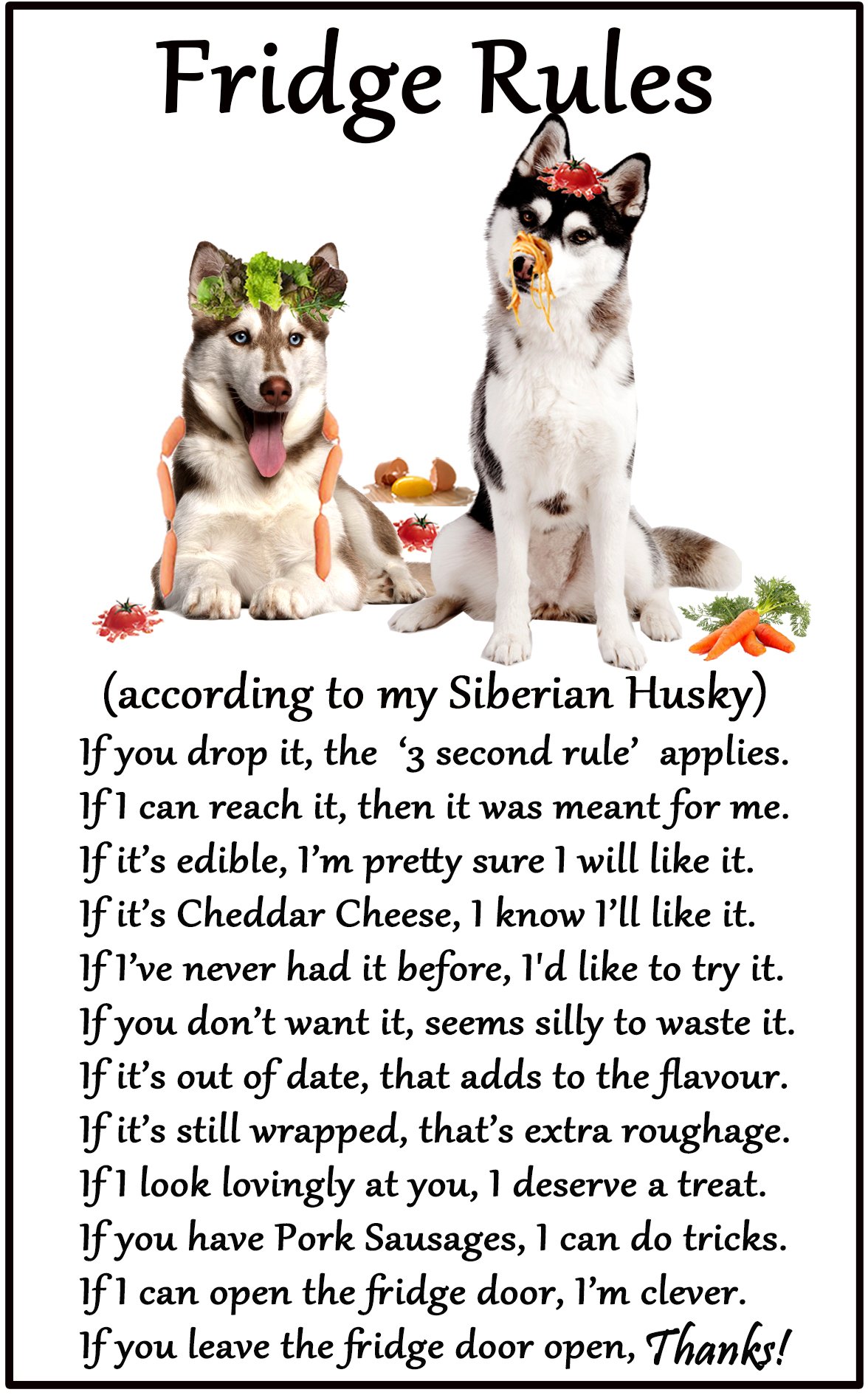 Fridge Magnets White Siberian Husky Gift - Fridge Rules - Large Fun Flexible Fridge Magnet- Size 16Cms X 10 Cms (Approx. 6" X4")