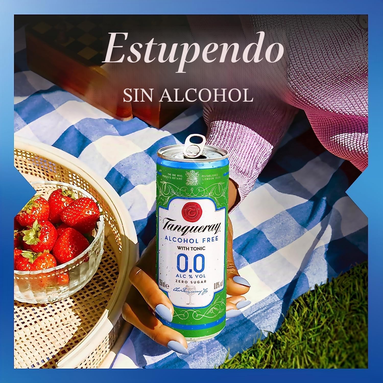 Tanqueray 0,0% & Tonic - Bebida mixta refrescante sin alcohol, sin azúcar y sin calorías, lista para beber "Slim Can" para viajes, 250 ml + Polpa italiana gourmet de 400 g