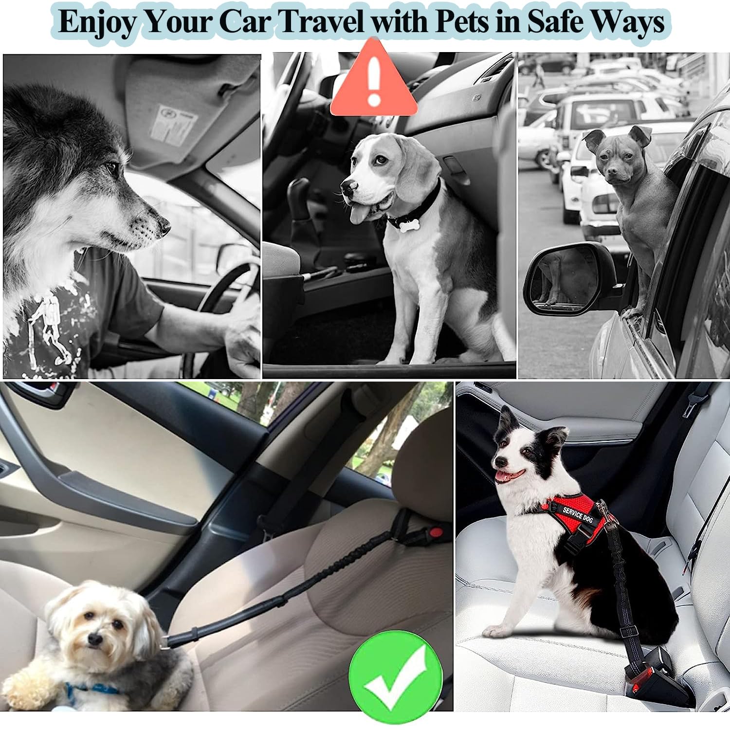 TRUE LOVE Ceinture De Sécurité Pour Véhicule, Harnais Pour Animal Domestique, Chien, Voiture, Voyage, Léger