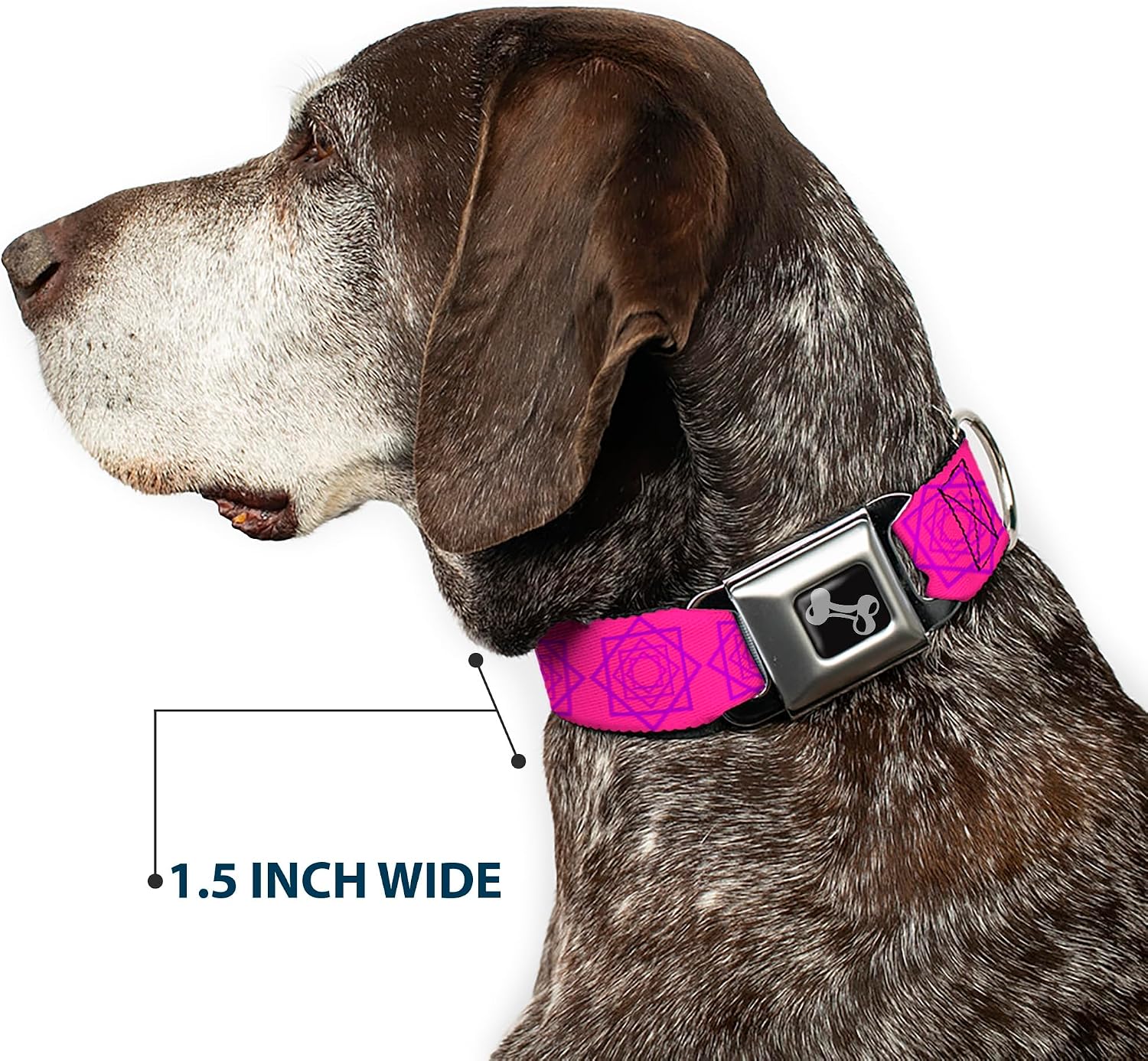 Dog Collar Seatbelt Buckle Rotating Squares Pink Purple 11 to 17 Inches 1.0 Inch Wide