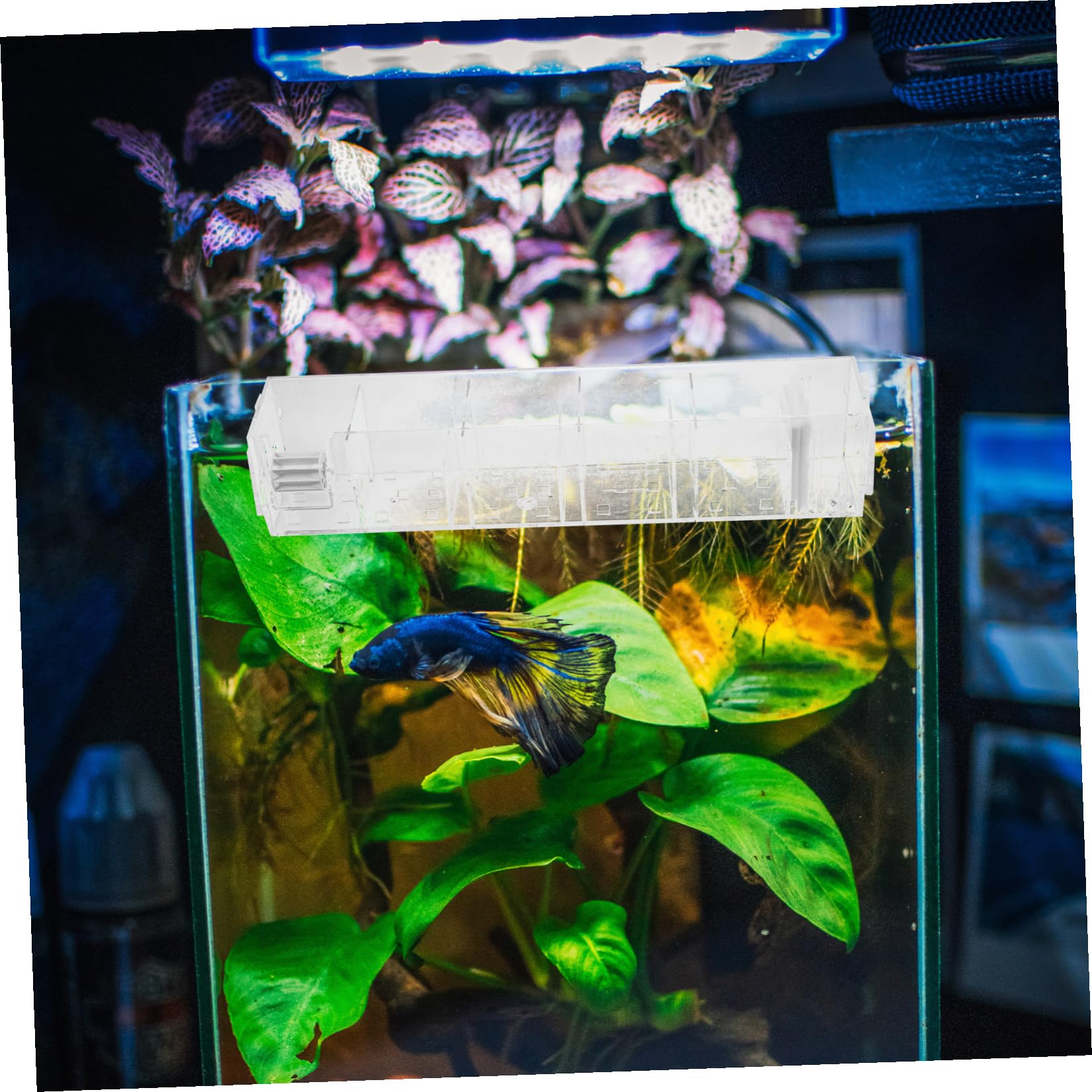 Hängefilterbox aus Acryl mit Pumpenfunktion und Ökologischem Wasserkreislauf Leiser Außenfilter für Aquarium mit Klarem Design und Einfachem Aufbau