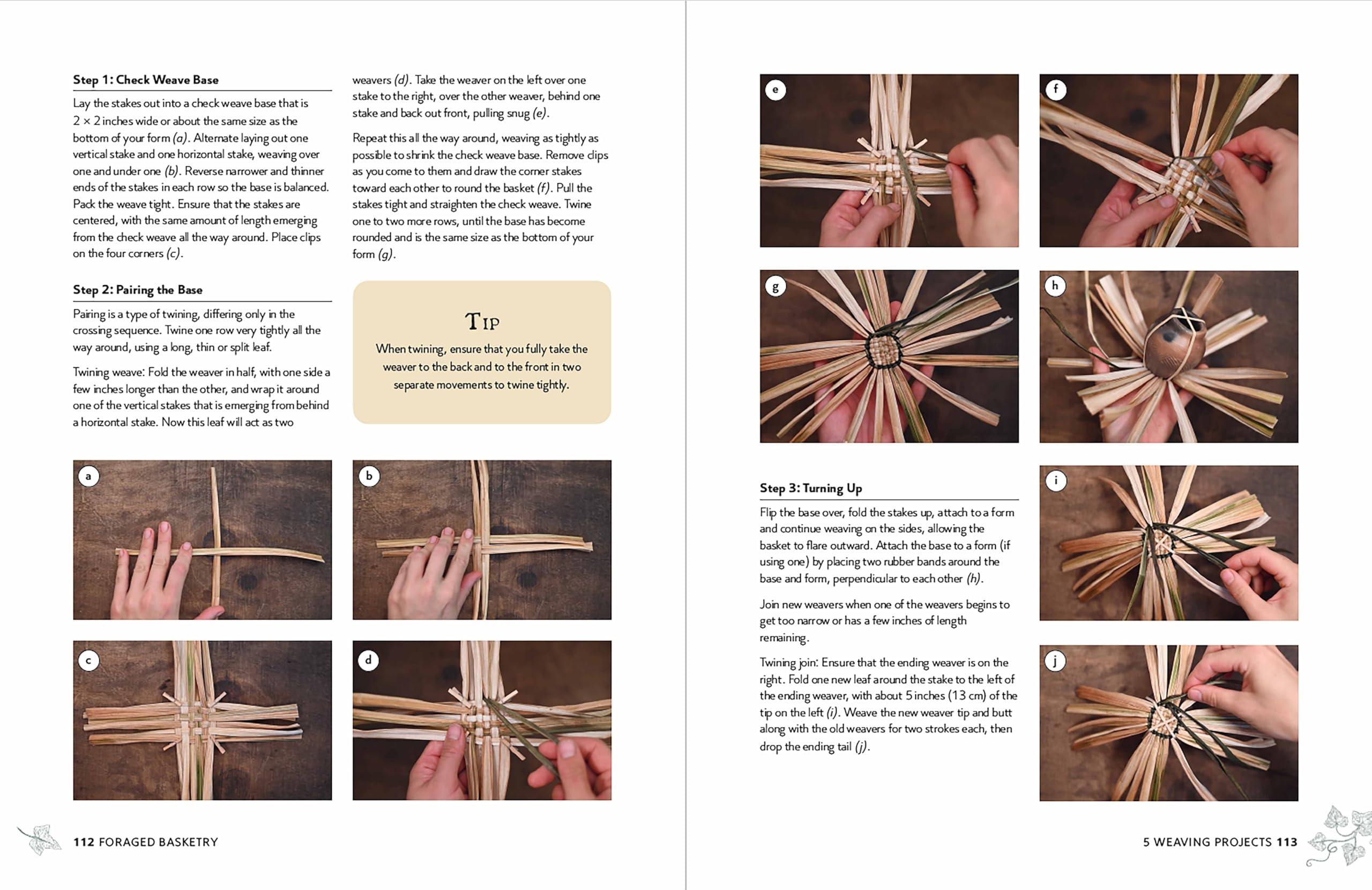 Foraged Basketry: Weaving with Wild and Invasive Plants