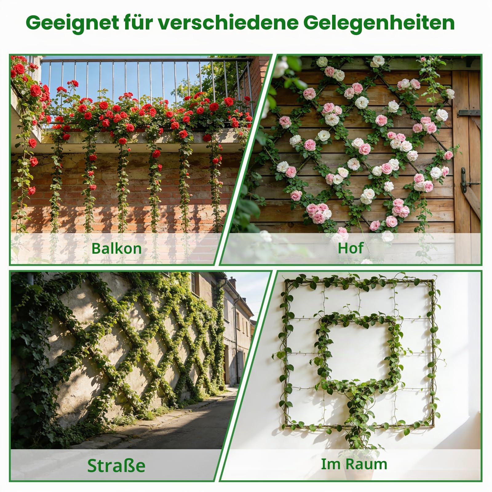 Kalolary 12 Stück T316 Draht Rankgitter et Garten Rankgitter Blumenwände