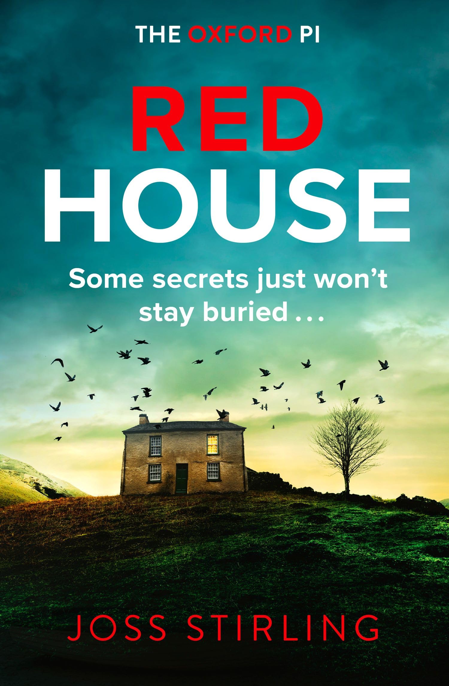 RED HOUSE: A Thrilling British Police Procedural and Oxford Murder Mystery: Book 3 (The Oxford PI series)