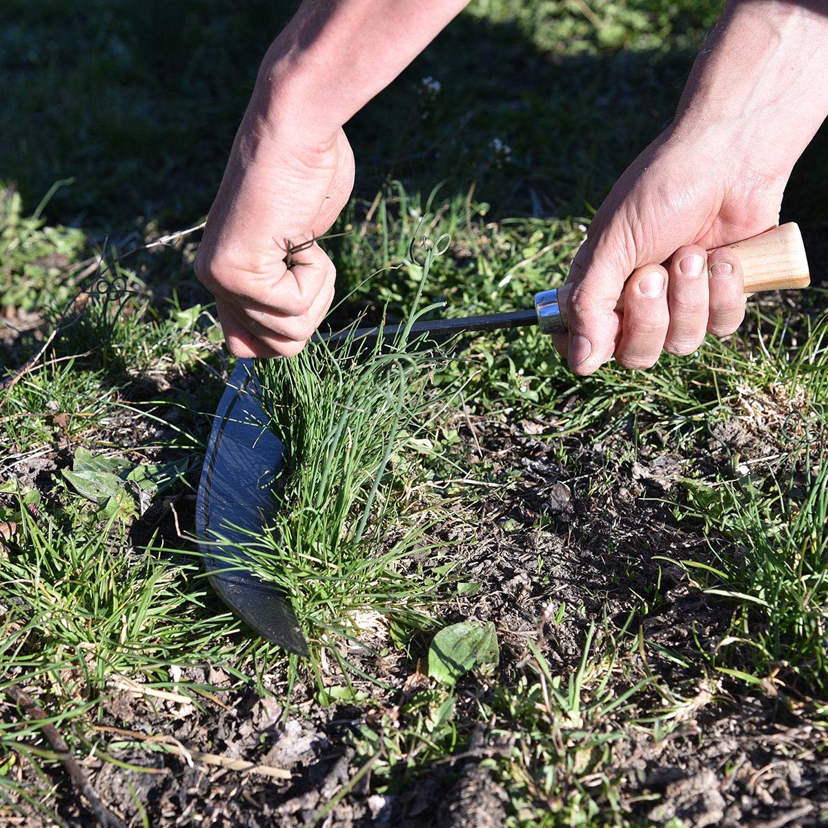 Kleine Sensensichel inkl. gratis Schleifstein - mit Eschenholzstiel - Gartenhilfe - Kleinsense - Handsense - Rechtshänder - Handgeschmiedet in Deutschland
