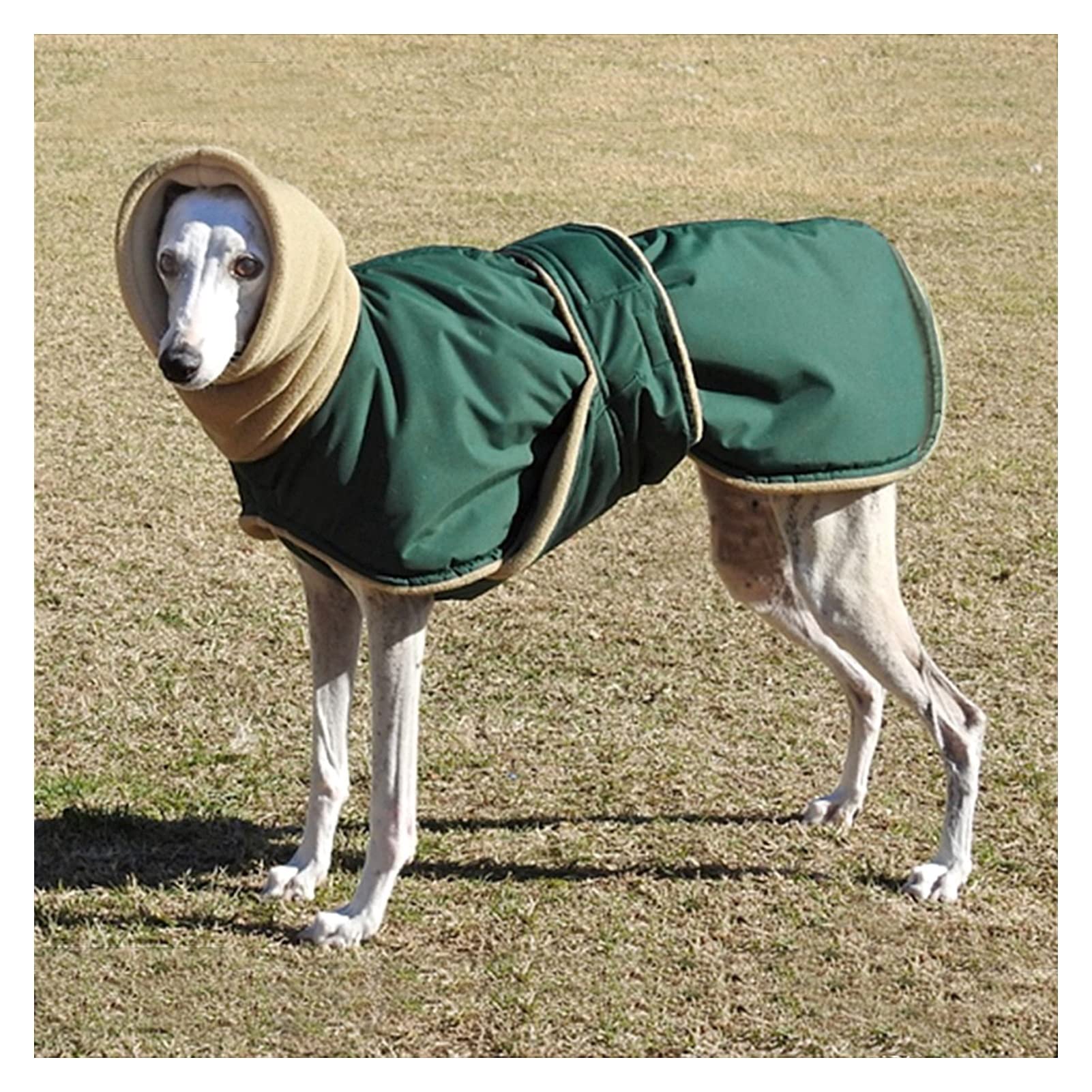 Manteau pour chien super chaud et imperméable taille 3XL vert