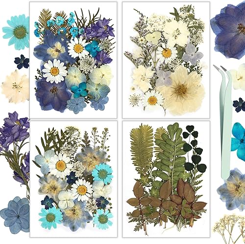 Resiners Juego de 100 flores secas prensadas para moldes de resina, flores secas naturales azules reales, kit de hojas secas para álbumes de disponible en Yaxa Peru