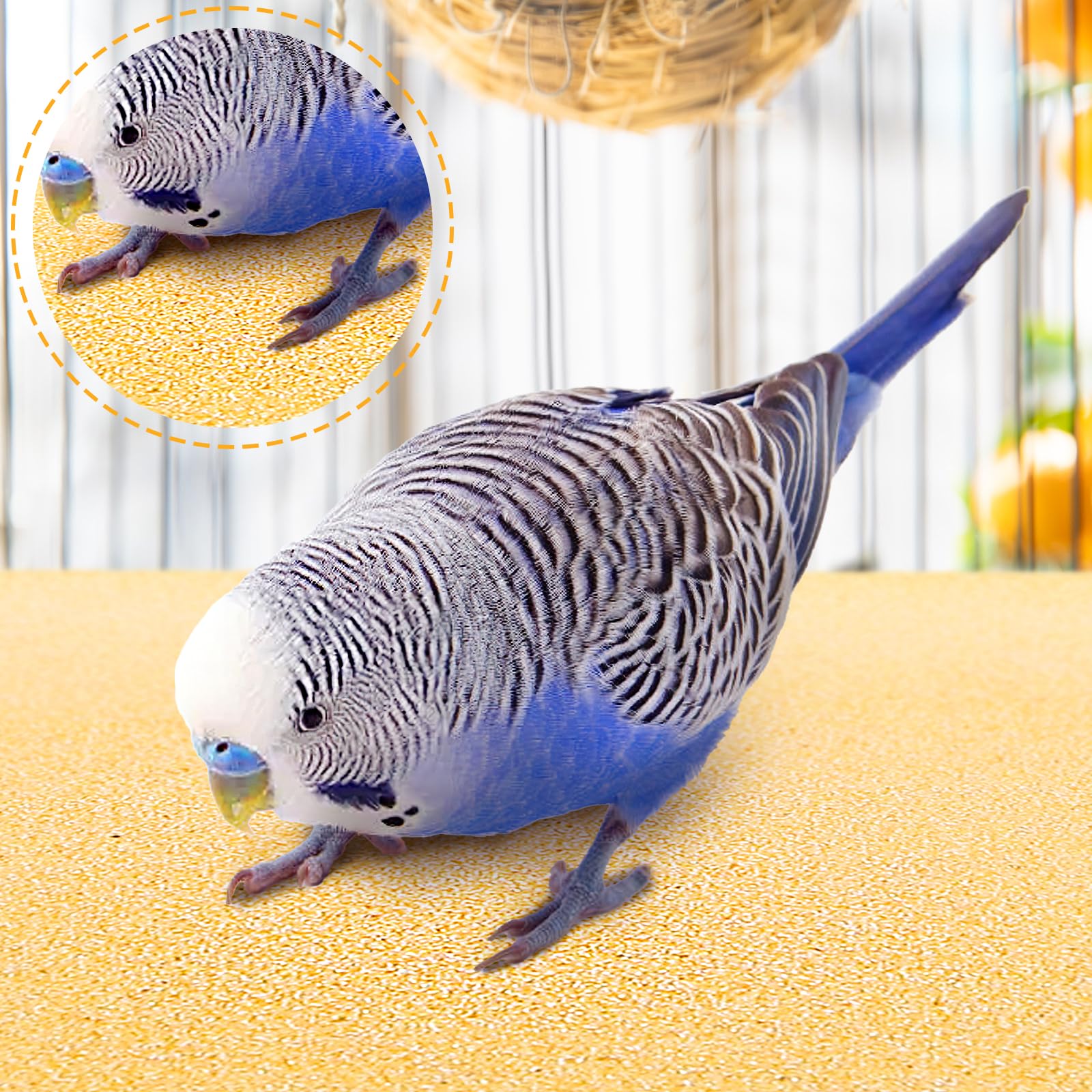 Okllen 50 Piezas de Papel de Grava para Jaula de pájaros, 11 x 17 Pulgadas, Accesorios de Cama para Mascotas, Papel de Lija para Jaula de Loros